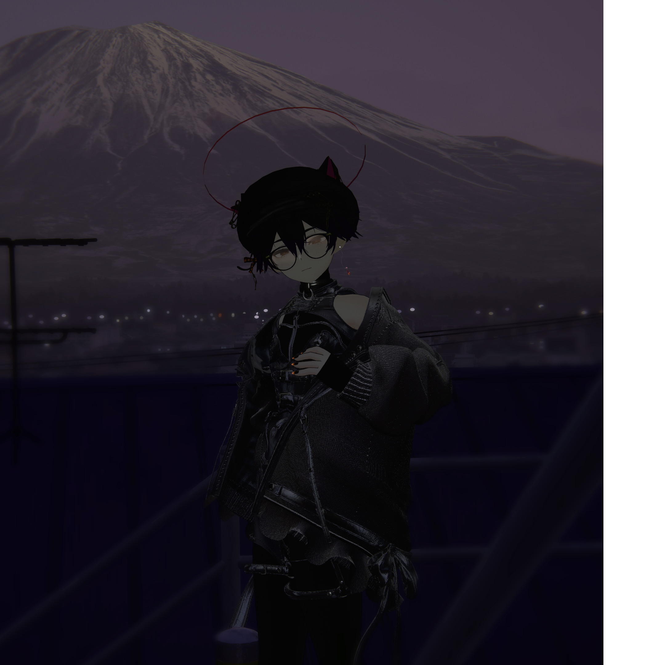 がめねこの作品