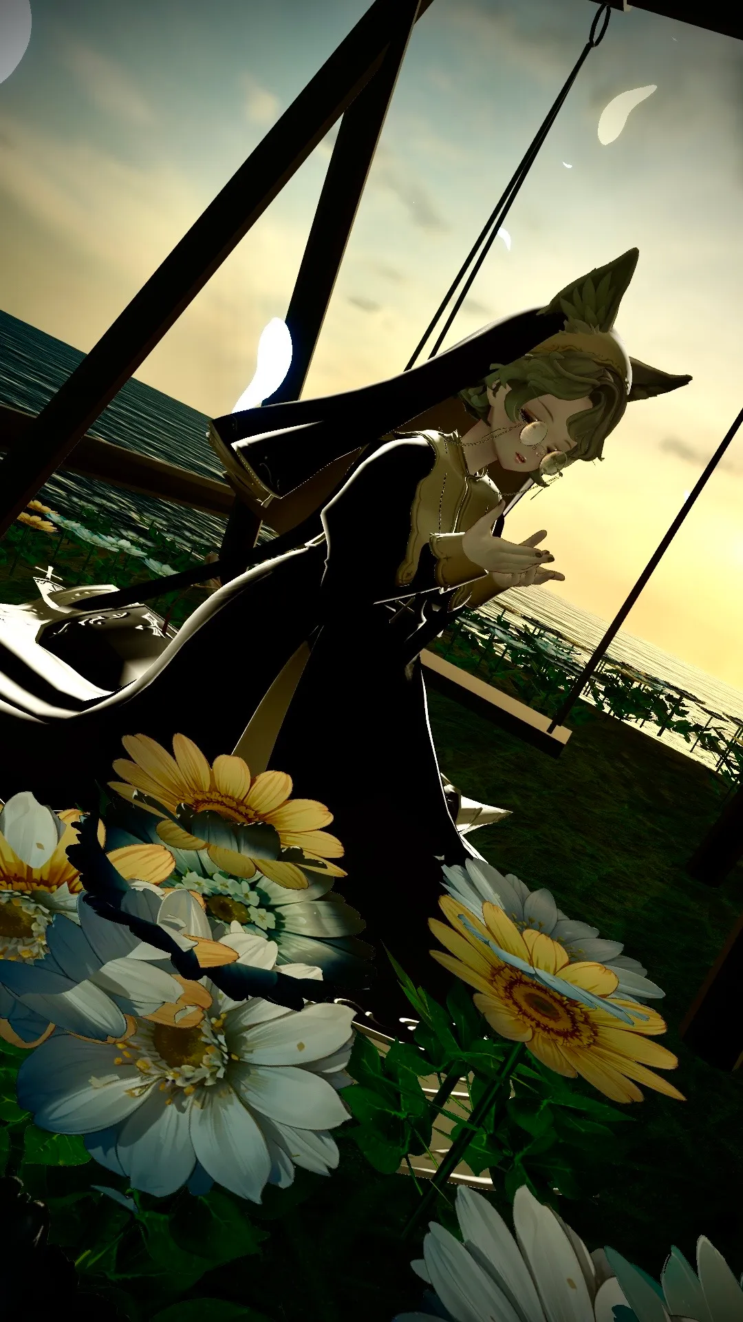 何を着ても似合う魅力的なアビシニアンの女の子。