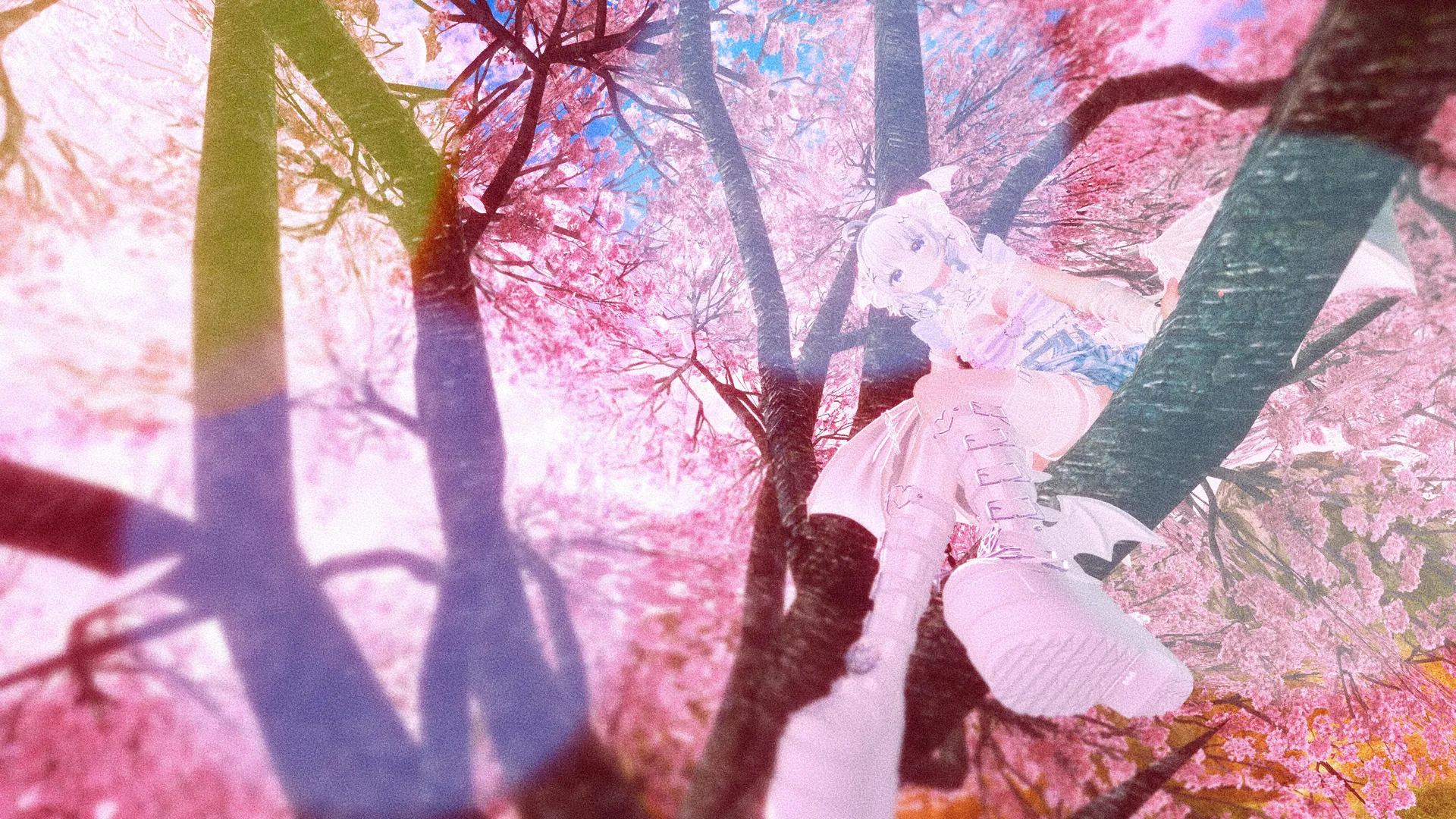 【VRスチル】桜色の空中散歩