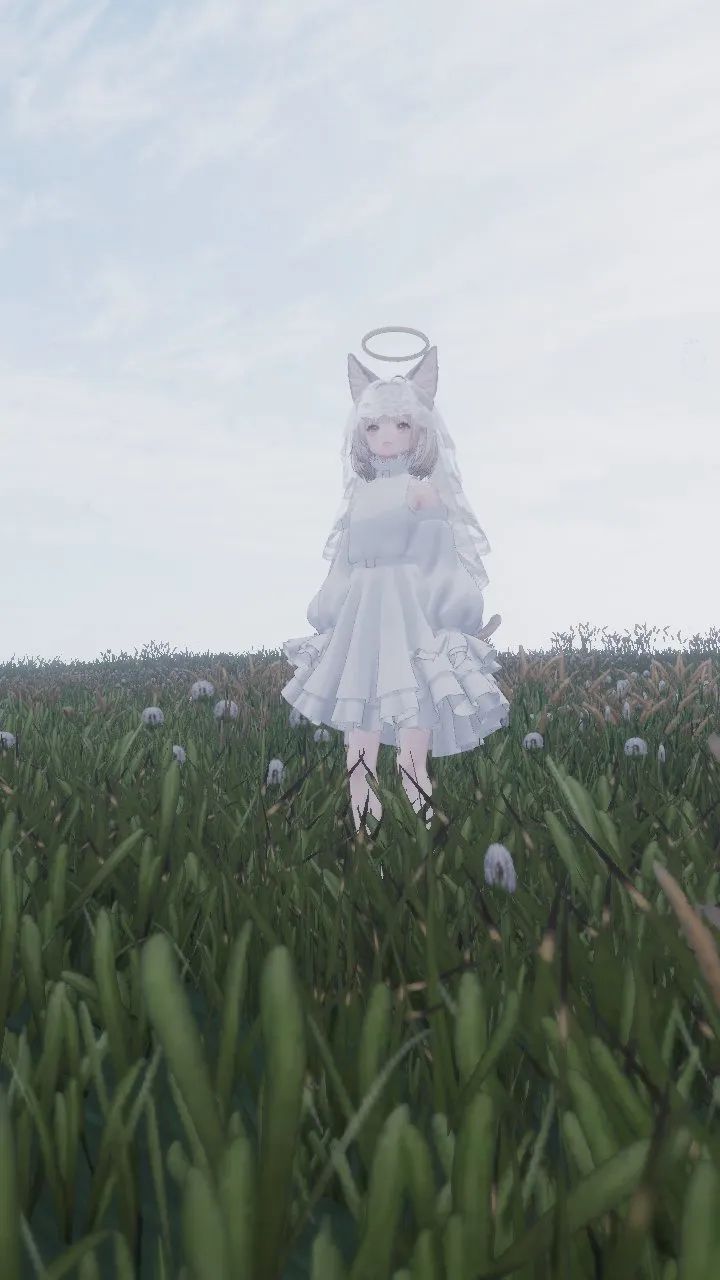 七日目のセミの作品